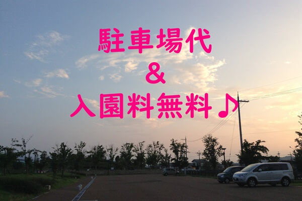 五条中央公園 駐車場無料