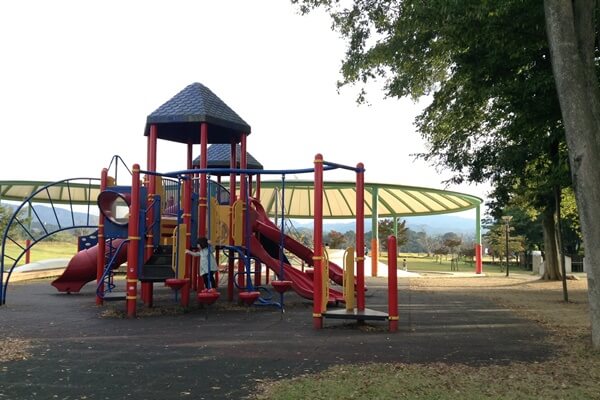 五条中央公園 小学生低学年くらいの子用遊具