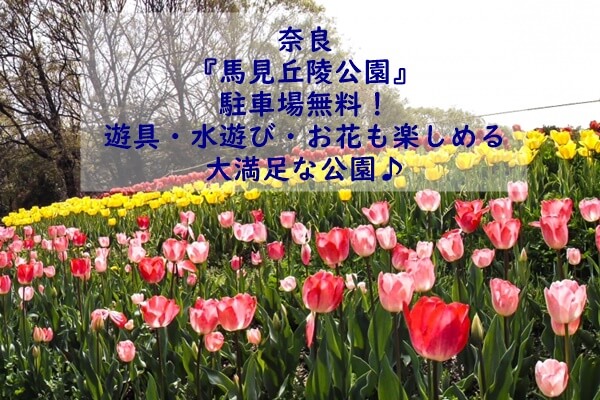 馬見丘陵公園　チューリップ