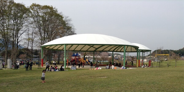 奈良 公園 土日