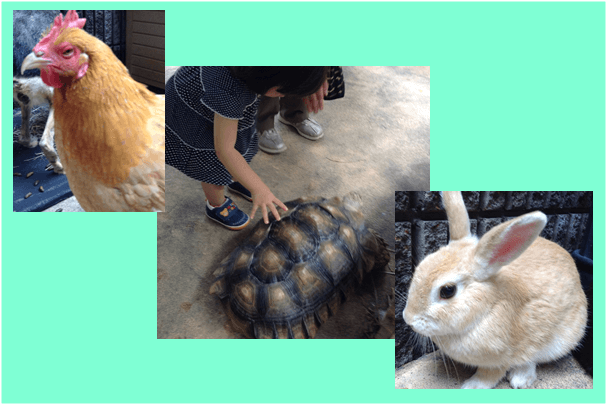 五月山動物園